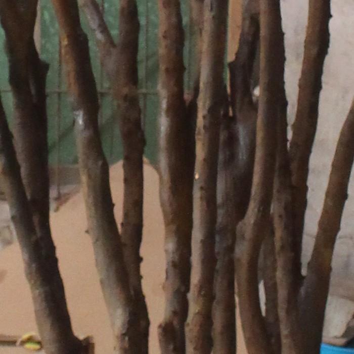 20181112_161921_647