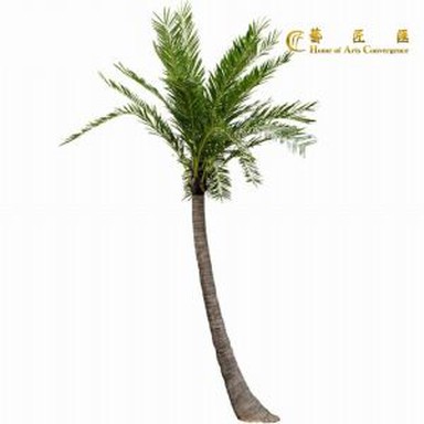Arbore cocos artificiale curbat