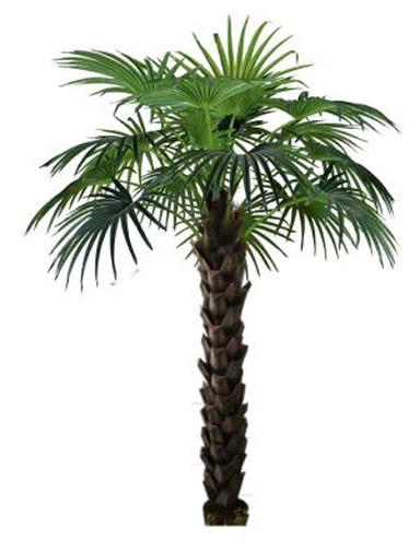 Arborele artificial Livistona