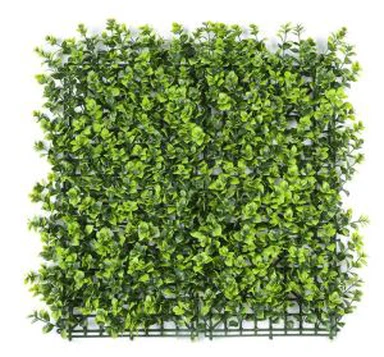 Perete vertical verde
