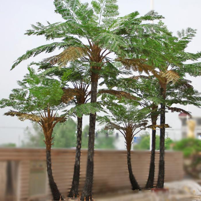 Copaci artificiali Alsophila Spinulosa Arbori